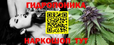 кокс Лесосибирск